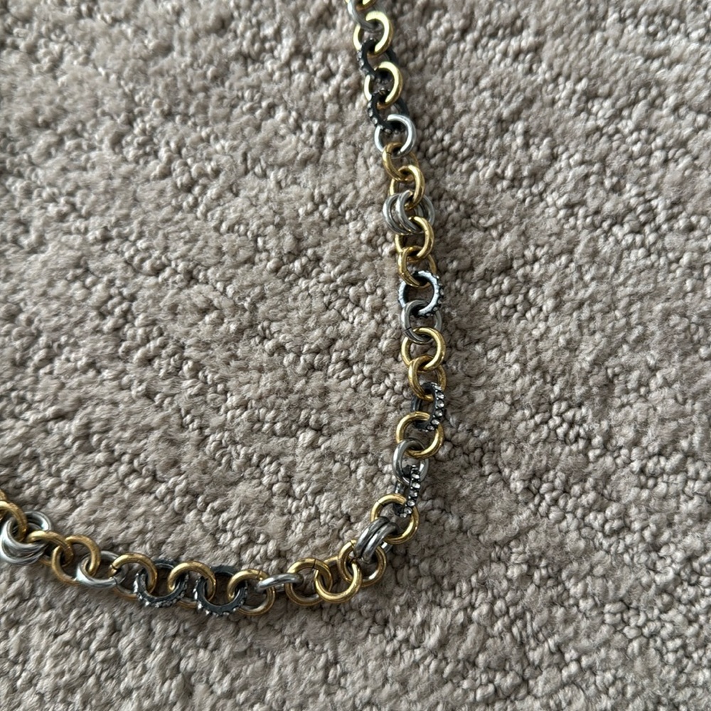 Ann Taylor two tone 30 inch long necklace. EUC. Has a 1 inch extender.